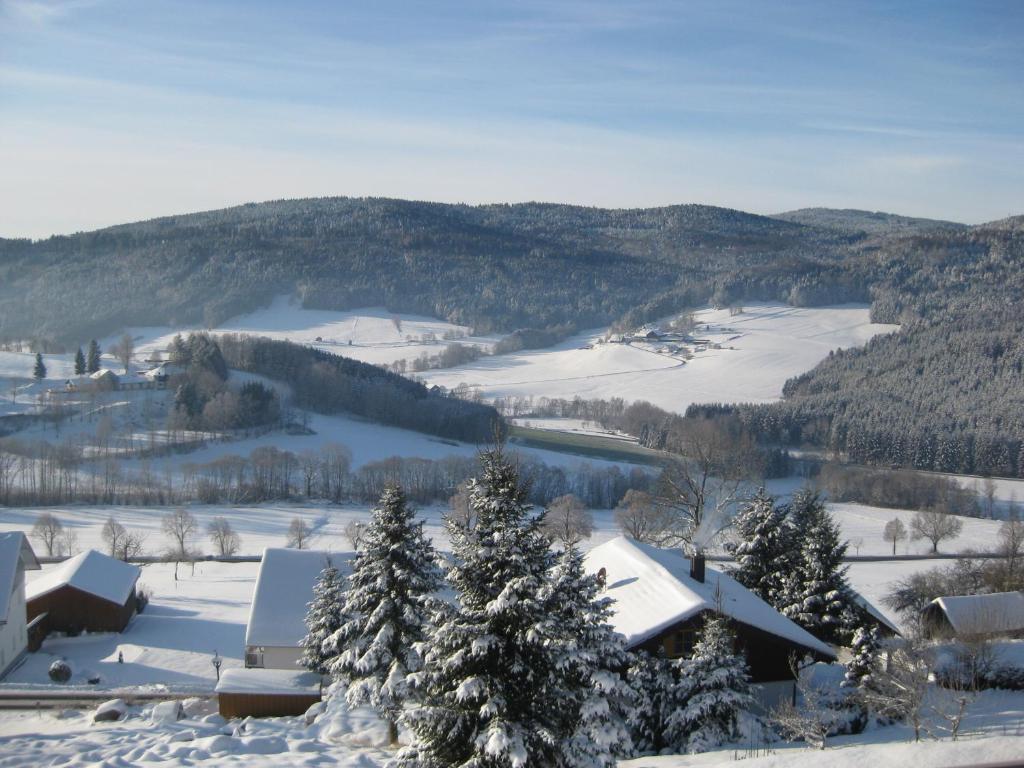 Ferienwohnungen Grill Schönberg 部屋 写真
